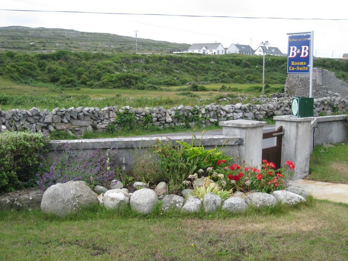 Radharc Na Ceibhe B&B H91 V0Y3 Kilronan  Exterior foto